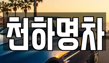 경북 김천시 남면 중고차매입 전문 천하명차
