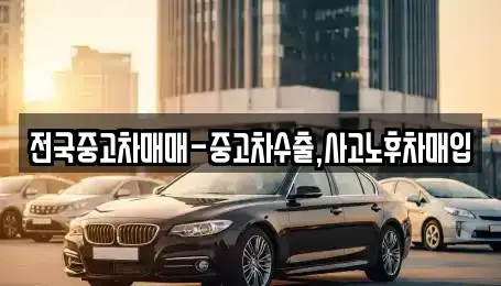 경북 김천시 평화동 중고차,렌트카,중고차매입,중고차매매,장기렌트카,단기렌트카