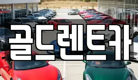경북 문경시 영신동 렌트카 전문 골드렌트카