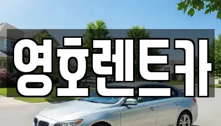 경북 문경시 영신동 렌트카 전문 영호렌트카