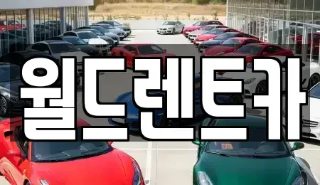 경북 안동시 단기렌트카 전문 월드렌트카