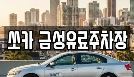 경북 안동시 옥정동 렌트카 전문 쏘카 금성유료주차장