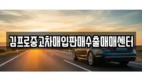 경북 안동시 옥정동 중고차 전문 김프로중고차매입판매수출매매센터