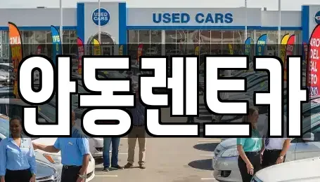 경북 안동시 운안동 렌트카 전문 안동렌트카