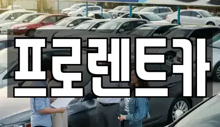 경북 안동시 운안동 렌트카 전문 프로렌트카