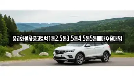 경북 안동시 운안동 장기렌트카,중고차,렌트카,단기렌트카,중고차매입,중고차매매