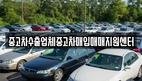 경북 안동시 운안동 중고차매입 전문 중고차수출업체중고차매입매매지원센터