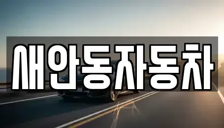 경북 안동시 중고차 전문 새안동자동차