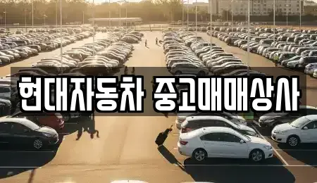 경북 영천시 서산동 중고차 전문 현대자동차 중고매매상사