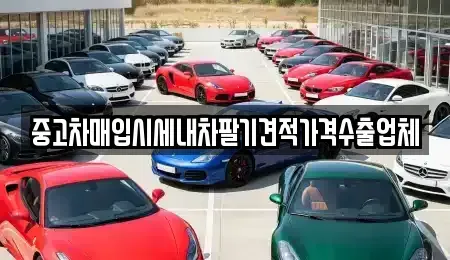 경북 영천시 오미동 중고차 전문 중고차매입시세내차팔기견적가격수출업체