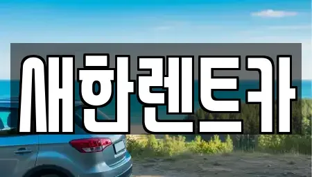 경북 영천시 완산동 렌트카 전문 새한렌트카