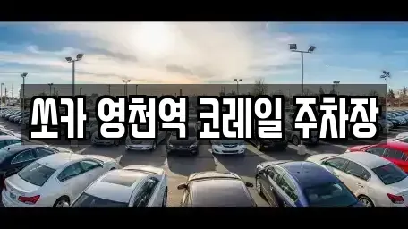 경북 영천시 완산동 렌트카 전문 쏘카 영천역 코레일 주차장