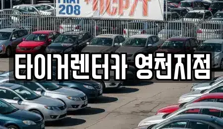 경북 영천시 완산동 렌트카 전문 타이거렌터카 영천지점