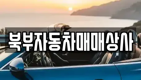경북 의성군 단촌면 중고차매매,단기렌트카,중고차매입,장기렌트카,중고차,렌트카