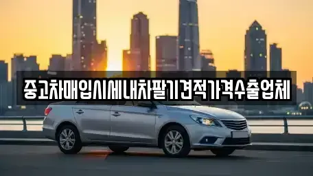 경북 의성군 의성읍 중고차매입 전문 중고차매입시세내차팔기견적가격수출업체