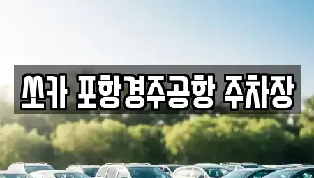 경북 포항시 남구 장기면 렌트카 전문 쏘카 포항경주공항 주차장