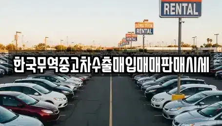 경북 포항시 남구 장기면 단기렌트카,중고차매입,중고차매매,중고차,렌트카,장기렌트카