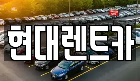 경북 포항시 북구 상원동 렌트카 전문 현대렌트카