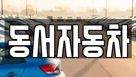 경상남도 거제시 아주동 중고차 전문 동서자동차