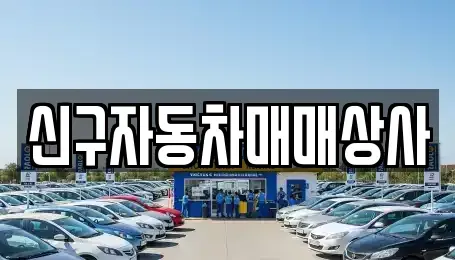 경상남도 거제시 옥포동 중고차 전문 신구자동차매매상사