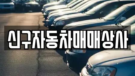경상남도 김해시 응달동 중고차 전문 신구자동차매매상사