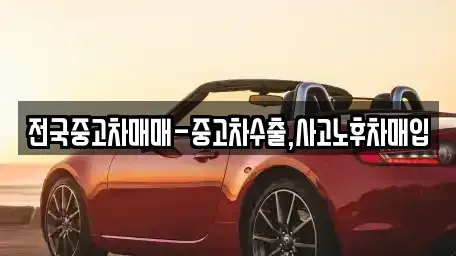 경상남도 김해시 응달동 중고차 전문 전국중고차매매-중고차수출,사고노후차매입