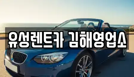 경상남도 김해시 흥동 렌트카,단기렌트카,장기렌트카,중고차,중고차매매,중고차매입