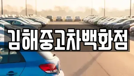 경상남도 김해시 흥동 중고차 전문 김해중고차백화점