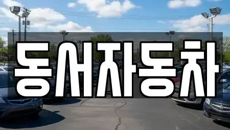 경상남도 김해시 흥동 중고차 전문 동서자동차