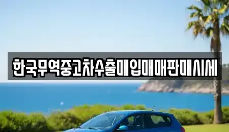 경상남도 김해시 흥동 중고차매입 전문 한국무역중고차수출매입매매판매시세
