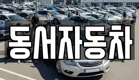 경상남도 사천시 궁지동 중고차 전문 동서자동차
