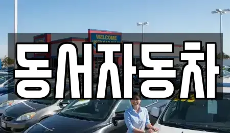 경상남도 양산시 명곡동 중고차매매 전문 동서자동차