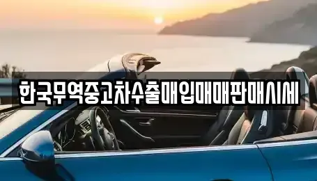 경상남도 양산시 명곡동 중고차매입 전문 한국무역중고차수출매입매매판매시세