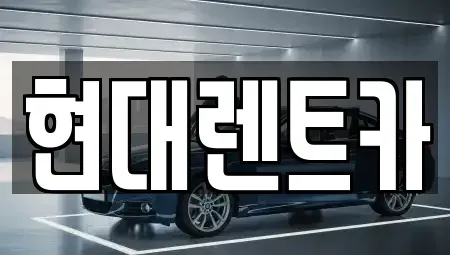 경상남도 양산시 명동 렌트카 전문 현대렌트카