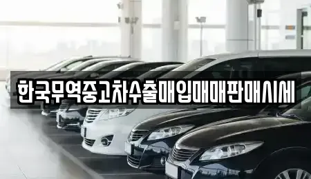 경상남도 양산시 명동 중고차매매 전문 한국무역중고차수출매입매매판매시세
