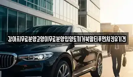 경상남도 창원시 마산합포구 유록동 중고차매입 전문 강아지무료분양고양이무료분양입양토끼거북말티푸먼치킨유기견