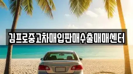 경상남도 창원시 마산합포구 유록동 중고차매입 전문 김프로중고차매입판매수출매매센터