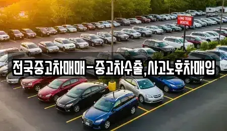 경상남도 창원시 마산합포구 유록동 중고차매입 전문 전국중고차매매-중고차수출,사고노후차매입