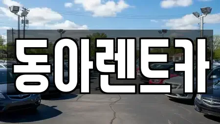 경상남도 창원시 마산합포구 창동 렌트카 전문 동아렌트카