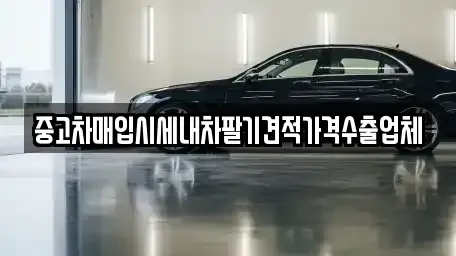 경상남도 창원시 마산합포구 창동 중고차매입 전문 중고차매입시세내차팔기견적가격수출업체