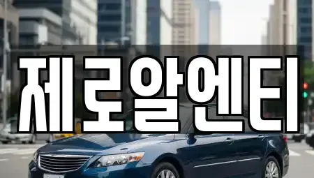 경상남도 창원시 마산회원구 두척동 렌트카 전문 제로알엔티