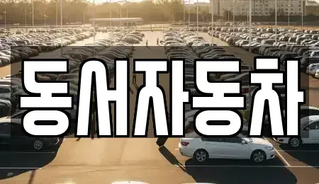 경상남도 창원시 마산회원구 두척동 중고차 전문 동서자동차