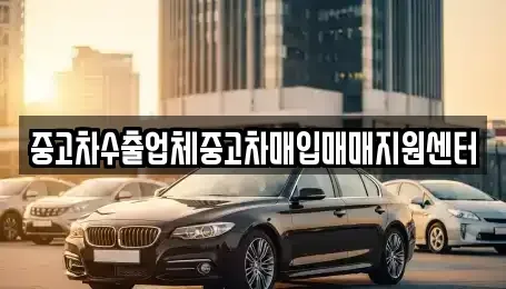 경상남도 창원시 마산회원구 두척동 중고차매입 전문 중고차수출업체중고차매입매매지원센터