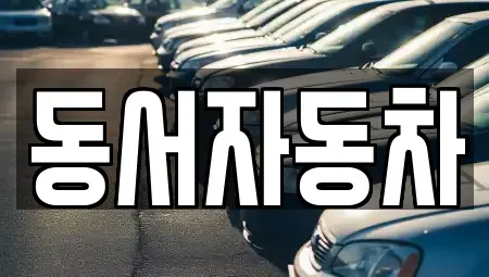 경상남도 창원시 성산구 천선동 중고차 전문 동서자동차