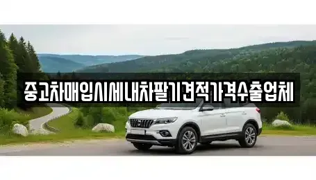 경상남도 창원시 성산구 천선동 중고차매입 전문 중고차매입시세내차팔기견적가격수출업체