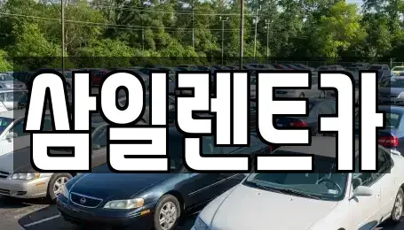 경상남도 창원시 진해구 가주동 렌트카 전문 삼일렌트카