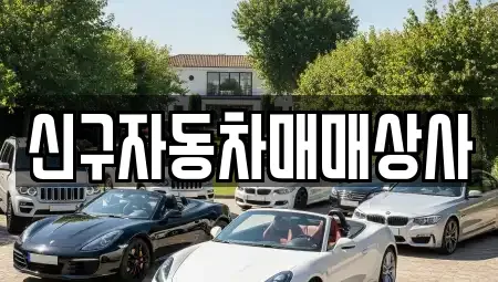 경상남도 창원시 진해구 마천동 중고차매매 전문 신구자동차매매상사