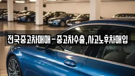 경상남도 창원시 진해구 속천동 중고차매입 전문 전국중고차매매-중고차수출,사고노후차매입