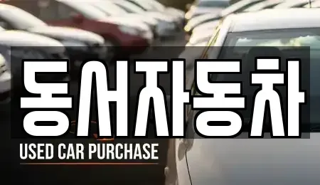경상남도 창원시 진해구 중앙동 중고차 전문 동서자동차