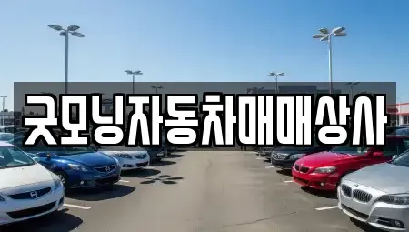 경상남도 통영시 도산면 중고차매매 전문 굿모닝자동차매매상사